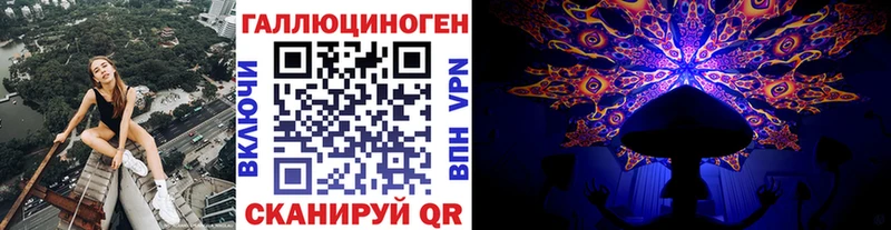 купить наркоту Армавир Псилоцибиновые грибы мицелий