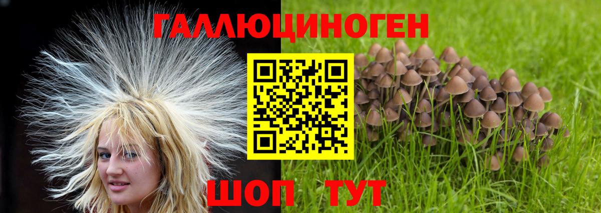 Псилоцибиновые грибы прущие грибы  Вход с VPN  Галлюциногенные грибы ЛСД  Армавир 