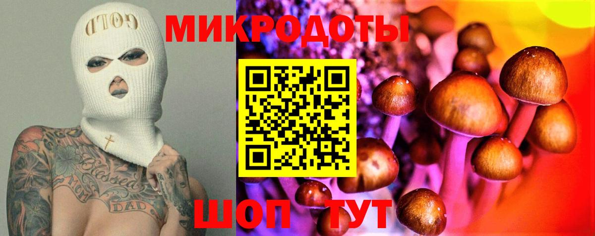 Галлюциногенные грибы Cubensis Армавир